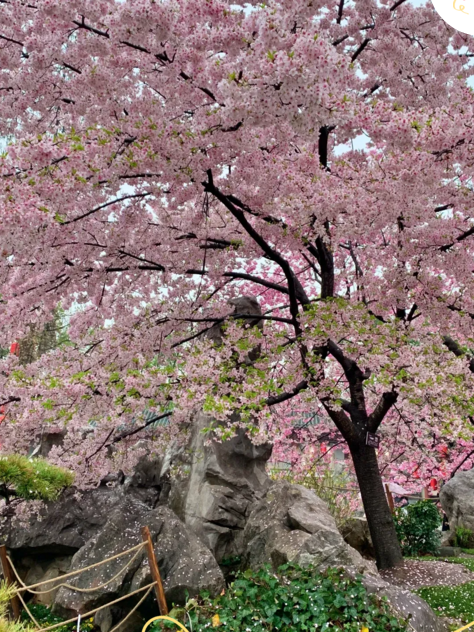 2345截图20250331151920.png