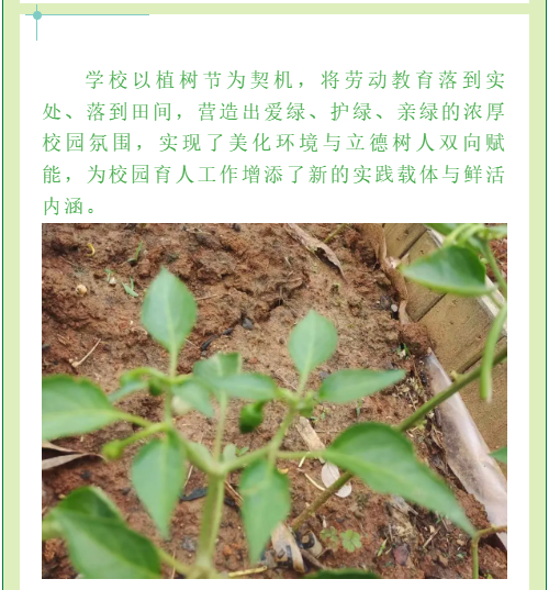 2345截图20260422144318.png